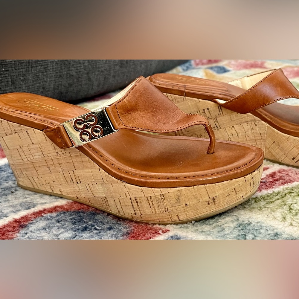 Coach Jan Women's Chestnut Leather Cork Wedge platform sandals Size 7B EUC! $168